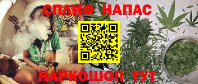 Альфа ПВП Пенза